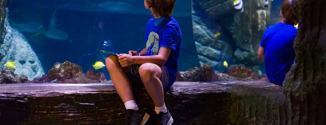 Entrance tickets to discover Munich Sea Life aquarium