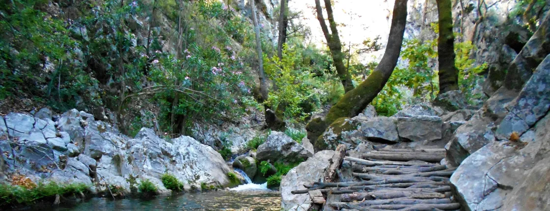 Samos island tour from the west with wine-tasting