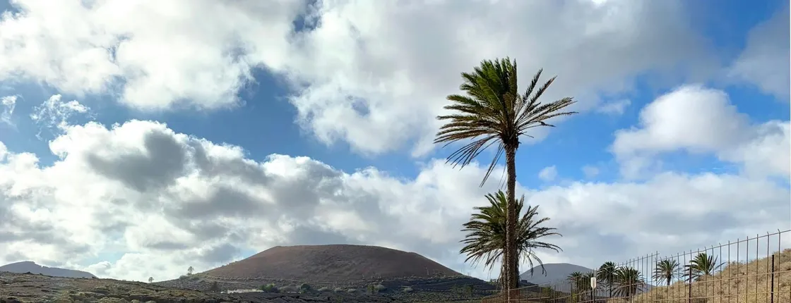 Romeria de los Dolores experience in Lanzarote with locals