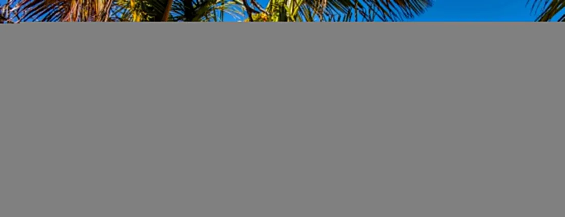 Paradise Island Private Catamaran Tour