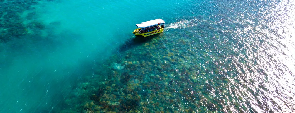 Airlie Beach glass bottom boat tour