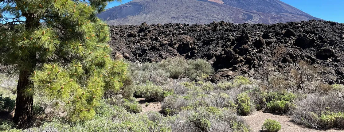 Historic Volcanoes Hiking Tour