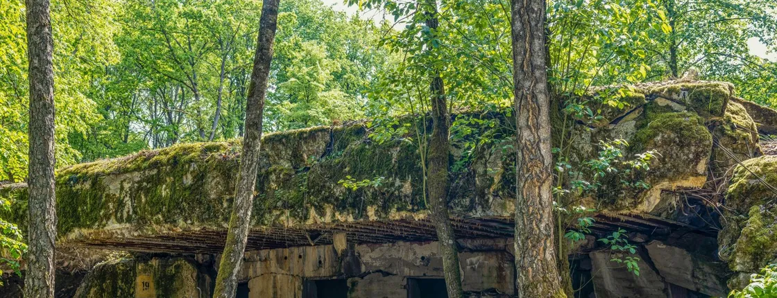 Full-day Wolf's Lair private tour and St. Lipka concert from Gdansk