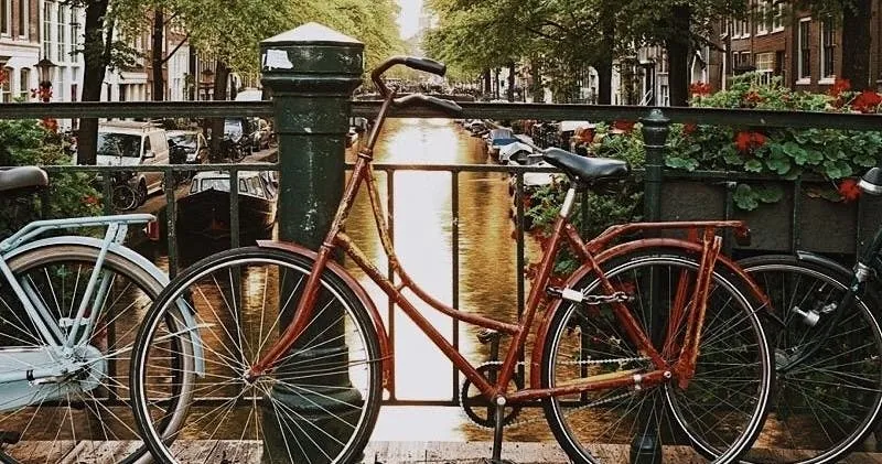 History of Amsterdam and city center semi-private walking tour