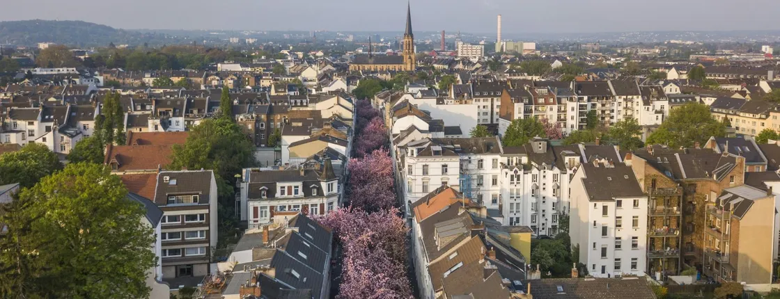 Bonn audio walking tour with historic landmarks and Beethoven House