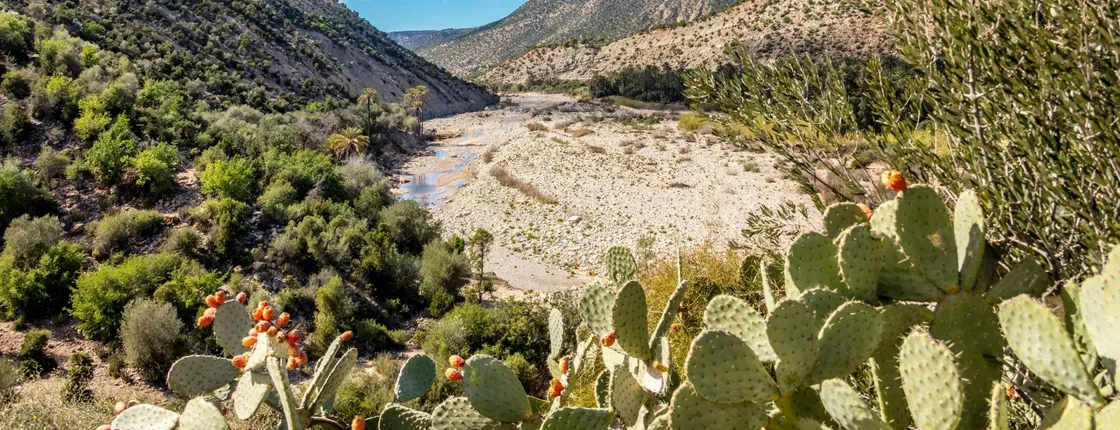 Atlas Mountains Tour