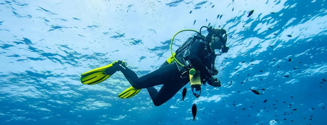 Scuba tour with one dive from Bonaire Harbour for certified divers