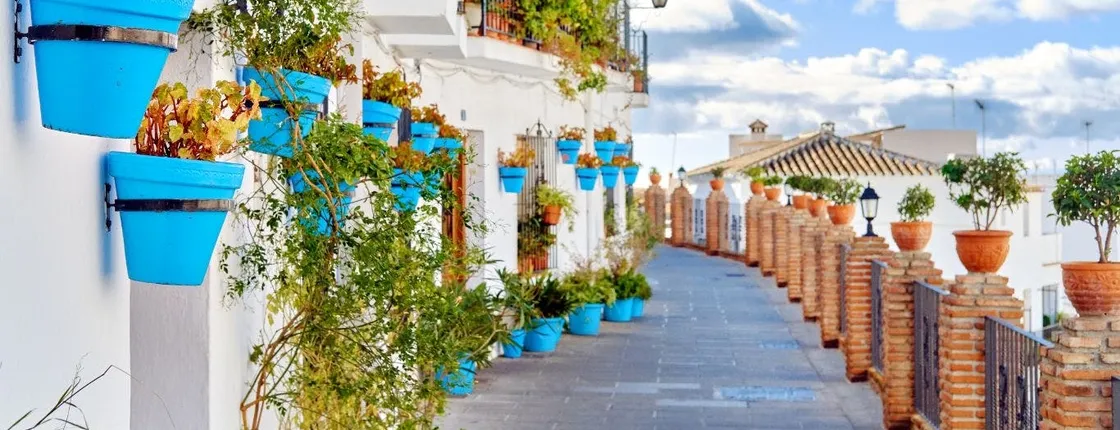 Marbella and Mijas private tour from Malaga
