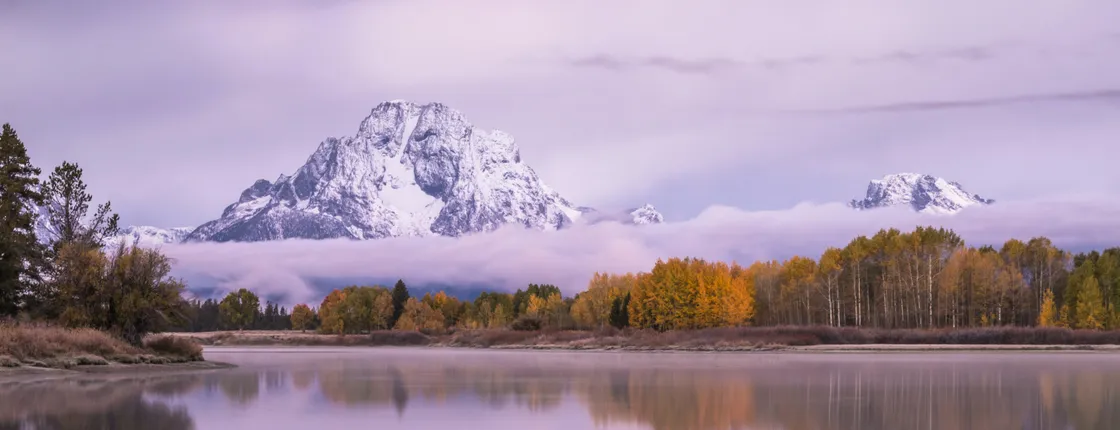 Winter and spring wildlife sunrise safari from Jackson Hole