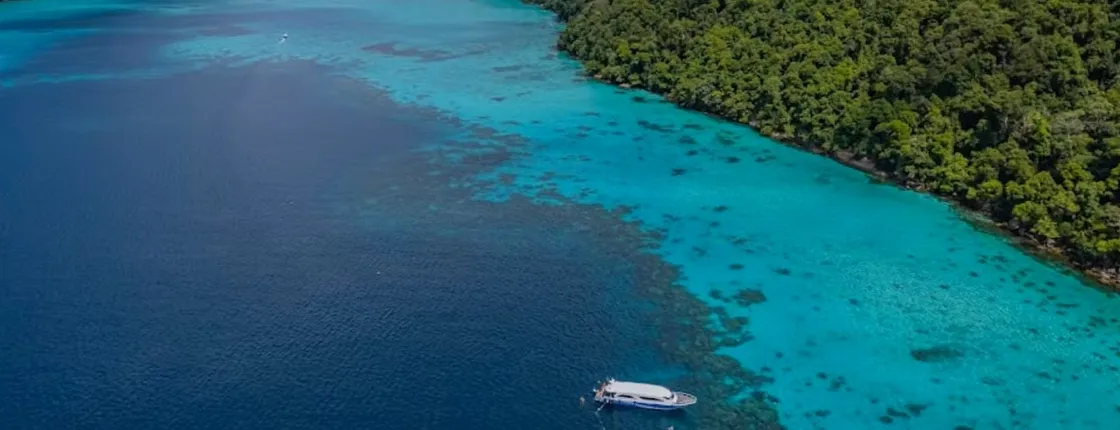 Surin Islands reef snorkel from Phuket