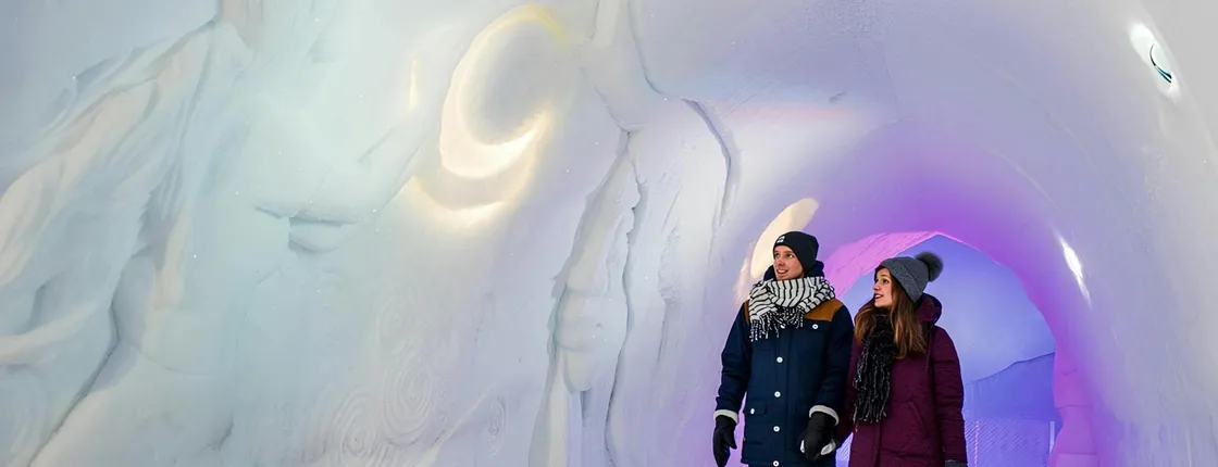 Arctic SnowHotel Guided Tour with Dinner