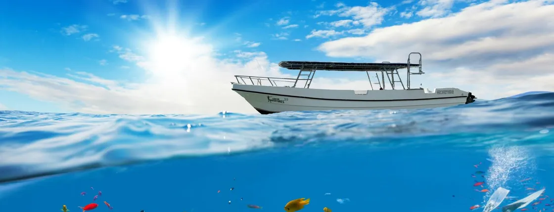 Riviera Maya half-day snorkelling tour