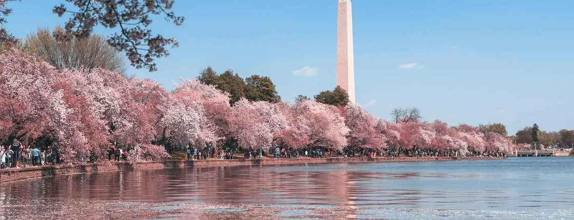 Washington D.C.'s Hidden Gems Self-Guided Adventure