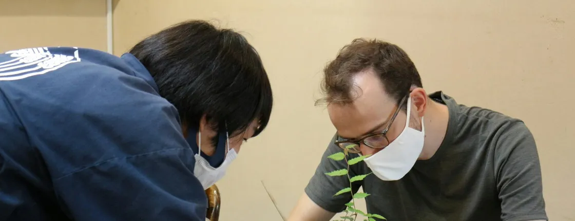 Authentic Japanese Bonsai Experience in Tokyo