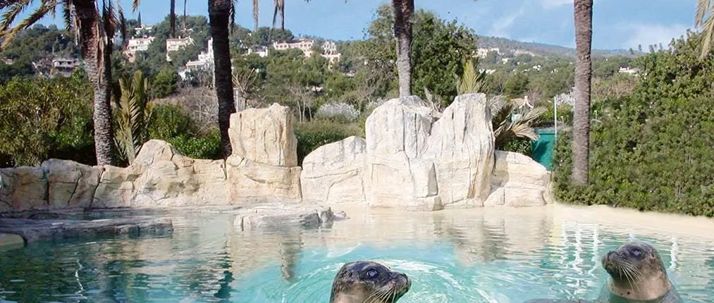 Marineland visit in Majorca with transfer