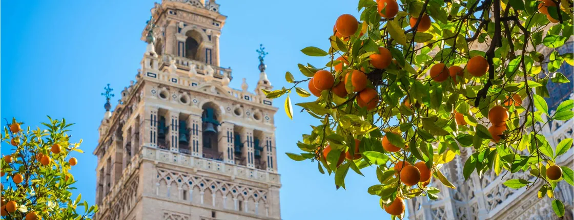 Seville cathedral ticket with audio guide and augmented reality