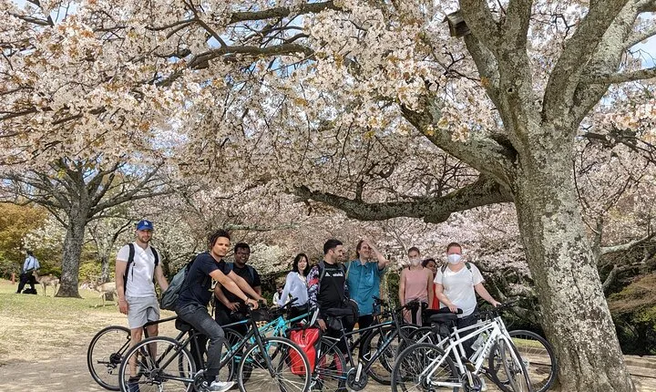 Nara - Heart of Nature Bike Tour