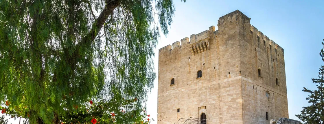 Kourion Ruins, Kolossi Castle and winery visit from Paphos