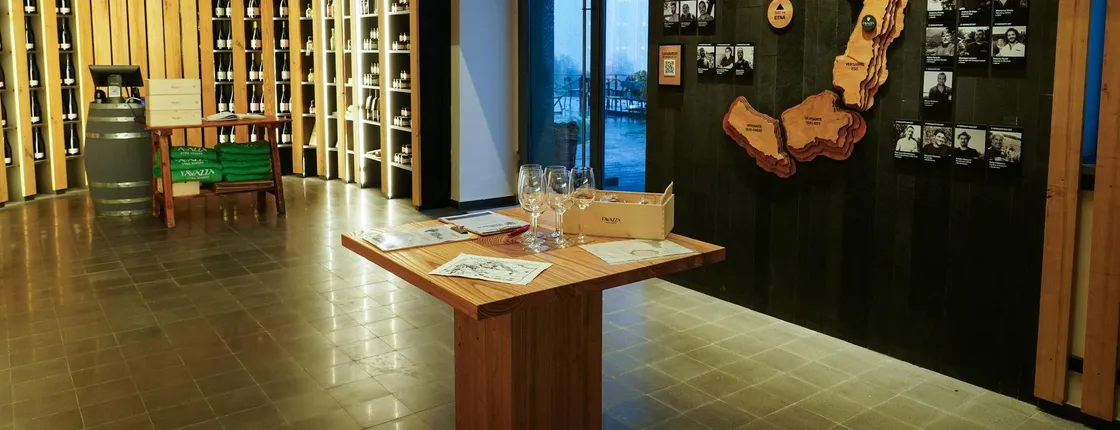 Guided tasting of Etna's extra virgin olive oil