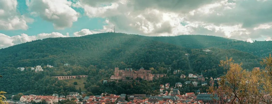 Day tour to Heidelberg with a local guide