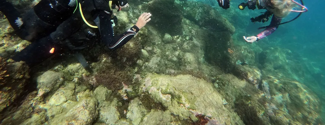 Zeus Gran Canaria Scuba Diving or Open Water Diving Course