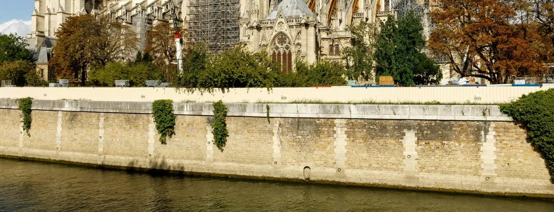 Notre-Dame post-fire restoration guided walking tour