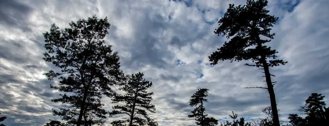 Intro to Michaux State Forest bike tour