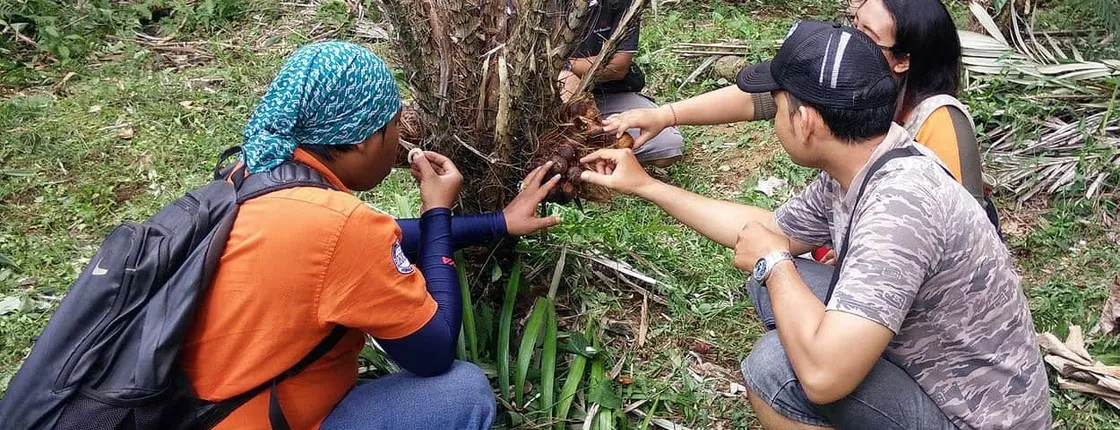 Salak Agro Eco Trekking