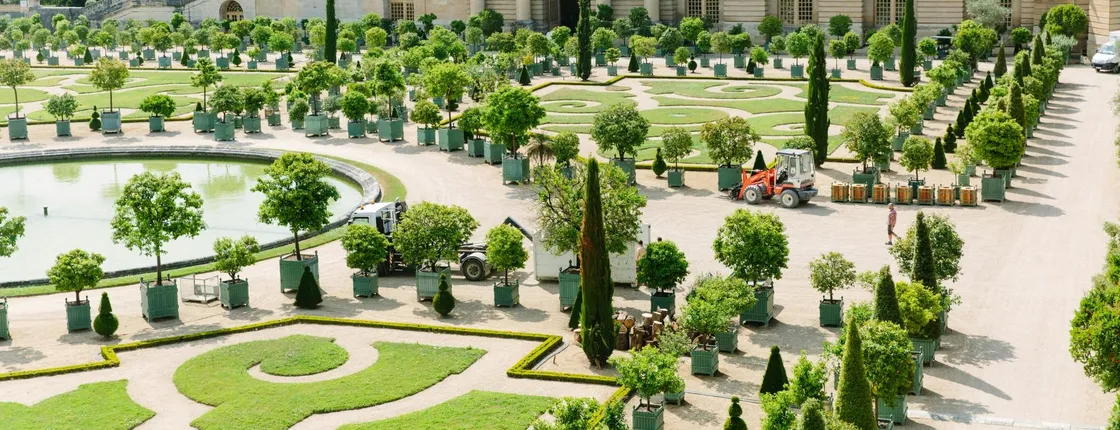 Versailles full-day bike tour with gardens and picnic stop