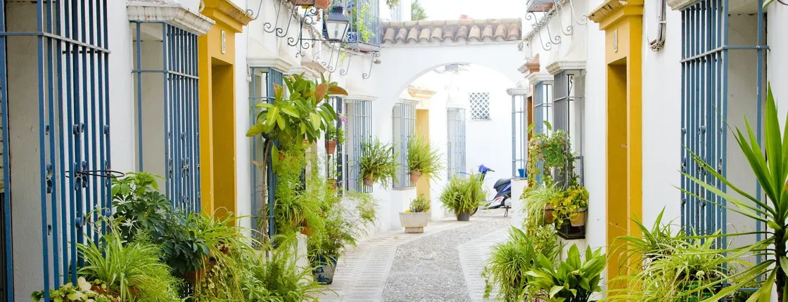 Córdoba courtyards festival guided tour