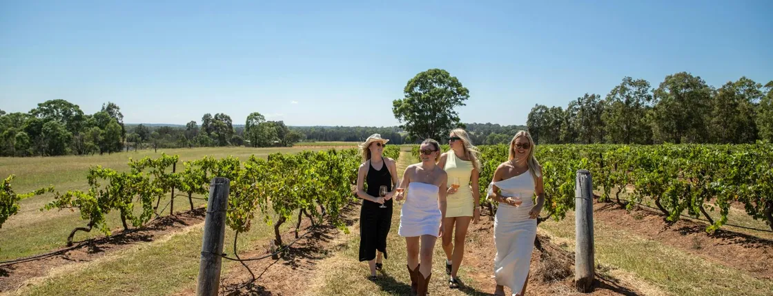 Hunter Valley wine tour with lunch from Sydney