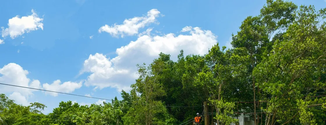 Harrison's Cave Eco-Adventure Park Ticket & Monkey Zipline