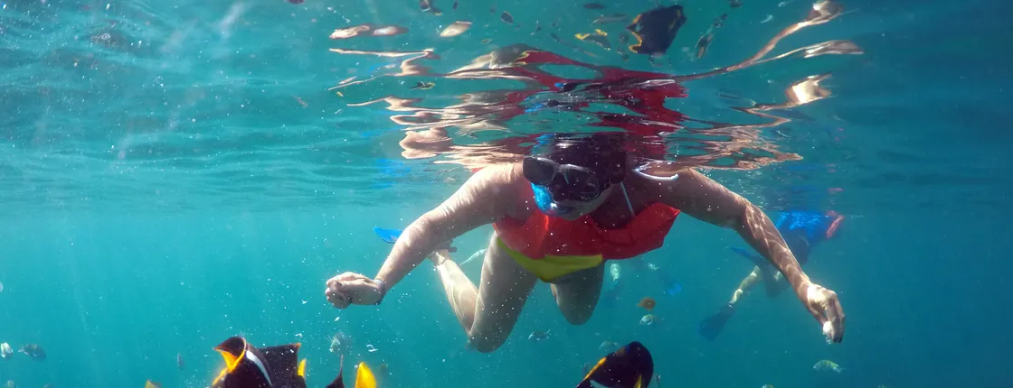 Cabo Pulmo Snorkelling Tour
