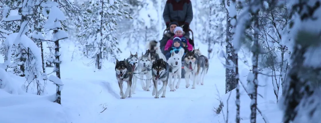 10 km Self-Driven Husky Sled Adventure in Rovaniemi