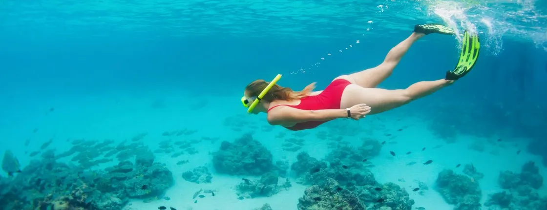 Full Day Sea Star Cruise to the Blue Lagoon