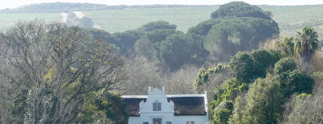 Wineland region visit with wine tasting and Franschhoek Tramway