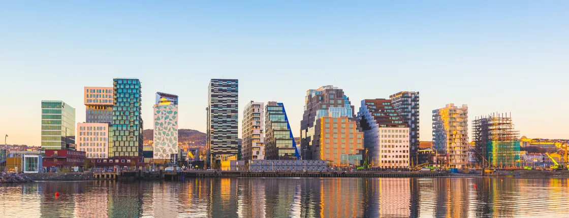 Oslo private and guided walking tour