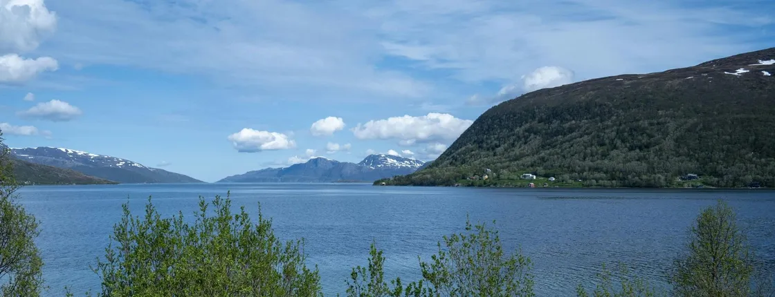 Arctic fjord guided tour from Tromsø