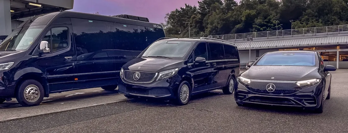 Private transfer from Bergen airport to hotel or harbour