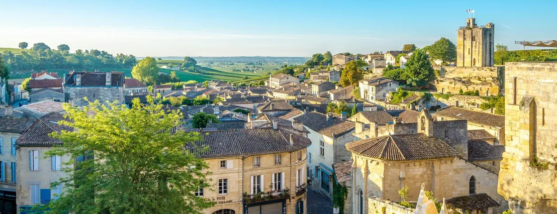 Saint-Emilion vineyards e-bike tour and wine tasting