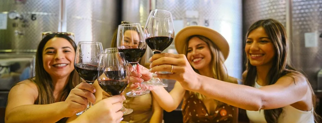 Italian wine tasting experience with expert guide in Florence