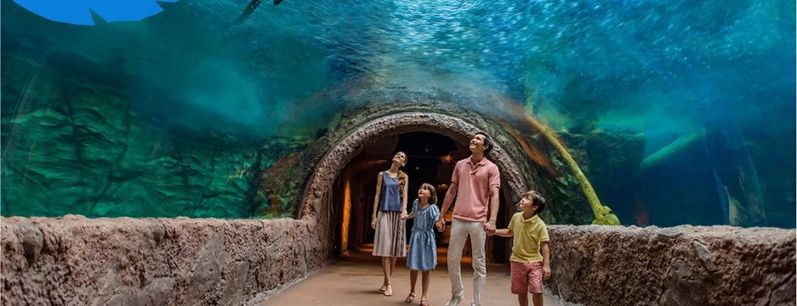 Singapore River Wonders admission ticket