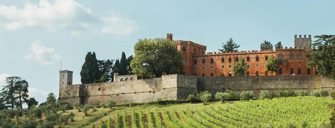 Small Group Chianti Wine Tour from Siena with Lunch