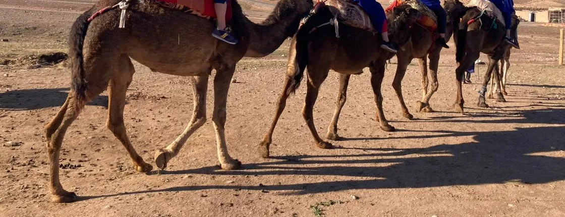 Full-day Atlas Mountains and Agafay Desert tour from Marrakech