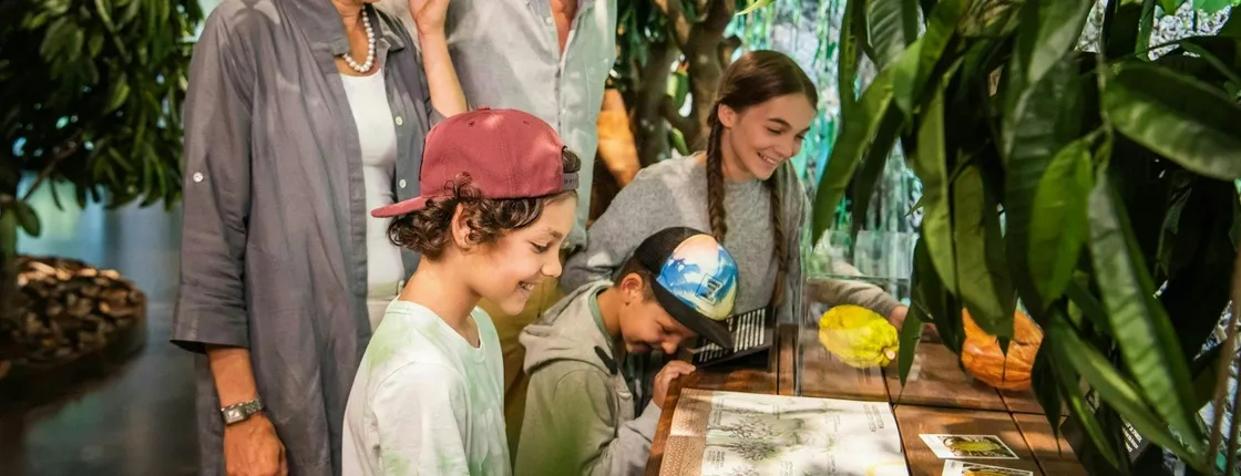 Lindt Home of Chocolate museum access with guided tour