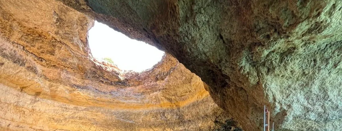 Dolphins and caves cruise tour in Albufeira