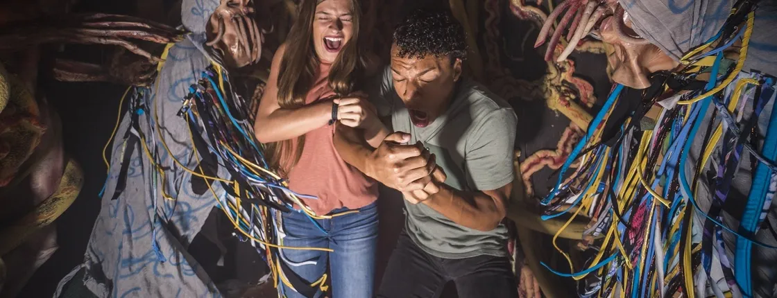 Busch Gardens Tampa Howl-O-Scream admission ticket