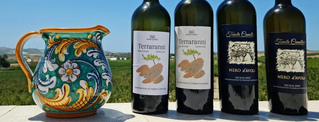 Nero d'Avola tasting and bottling experience in Agrigento