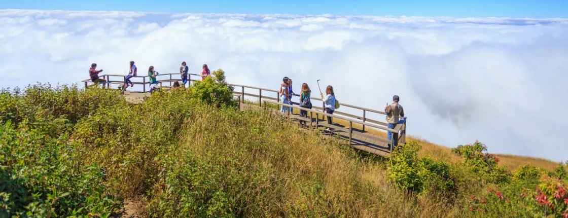 Hiking Experience to the Highest Spot in Chiang Mai