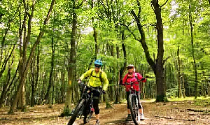 Sambata de Sus: E-Bike Guided Tours